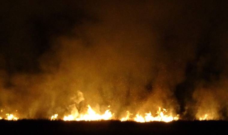 Yüksekova'da Nehil Sazlığı tekrar alev aldı