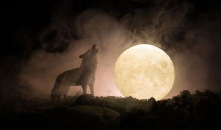 Yeni Kurtlar Vadisi geliyor! Yalnız Kurt fragmanı ile gündem oldu