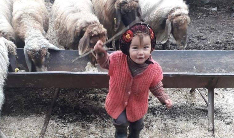 Son dakika | Yörük kızı Müslüme’nin dedesi tutuklandı