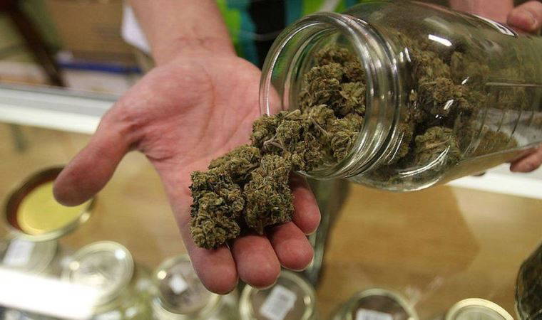 Uber, Kanada'da esrar piyasasına giriyor: Uygulama üzerinden siparişler teslim edilecek