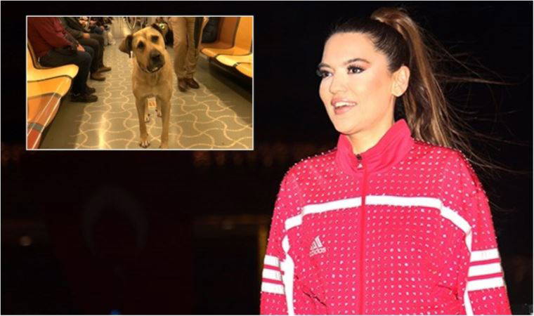 Demet Akalın, kumpas kurulan Boji'ye talip oldu