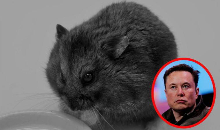 Elon Musk'ı üzen haber: 