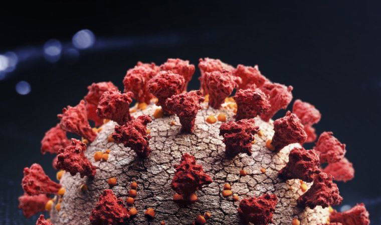 Güney Afrika Covid varyantı hakkında neler biliniyor, varyant neden endişe yaratıyor?