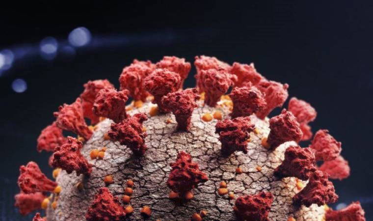 Son dakika | Dünya Sağlık Örgütü'nden 'süper varyant' açıklaması: İsim verildi, bulaş riski duyuruldu