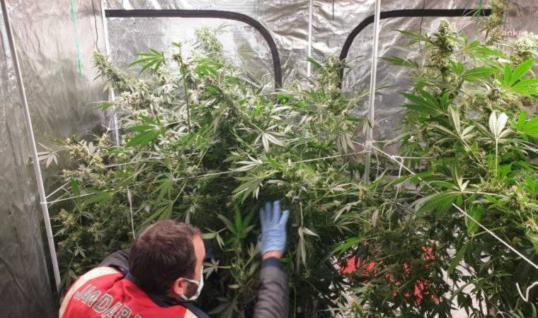 İzmir'de uyuşturucu operasyonu: Evini uyuşturucu serasına çevirmiş