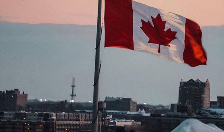 Hırlı hırsız komşular gitti