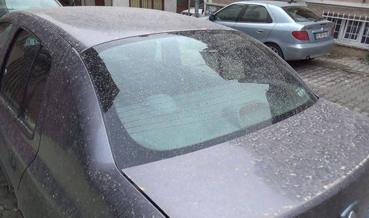 İstanbullular güne çamurla uyandı