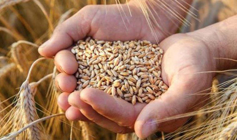 Gıda fiyatları son 10 yılın zirvesinde (04.11.2021)