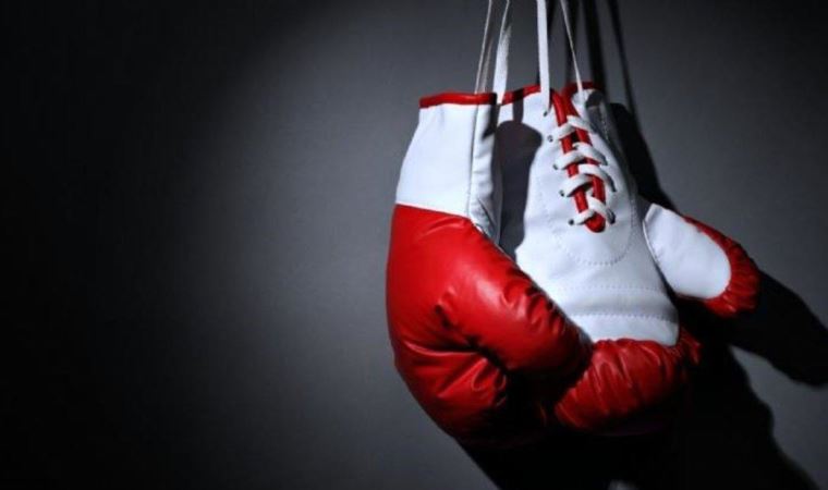 Serdar Avcı, Mike Tyson'ı nakavt eden Danny Williams ile unvan maçı yapacak