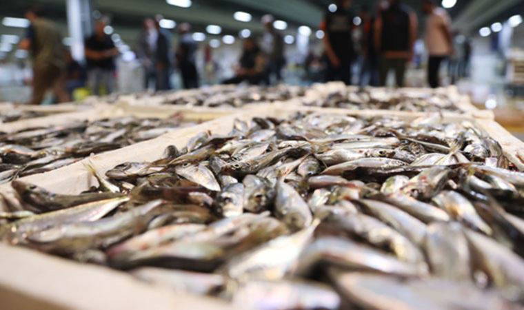 İstanbul'da etkili olan sis balık tezgahlarını vurdu