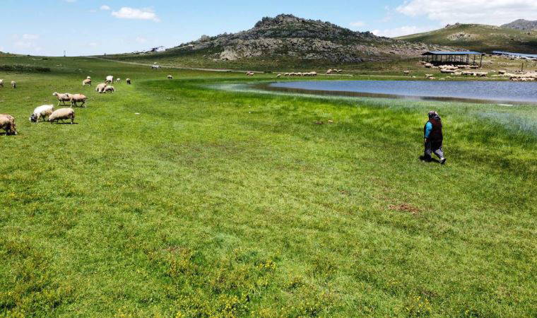 Mahkeme, Emirdağ yaylalarında altın arama faaliyetlerini durdurdu