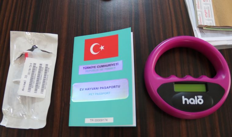 Bu köpek ırklarına sahip olanlar dikkat: Cezası 11 bin TL