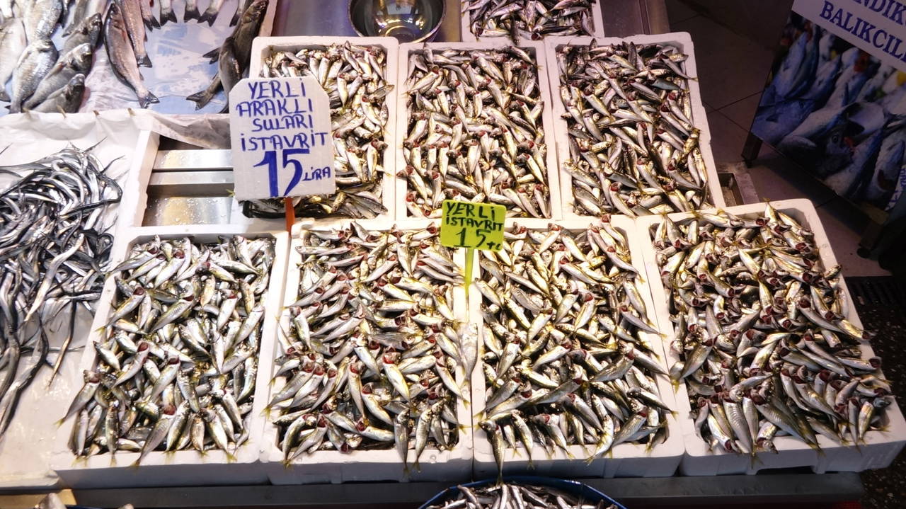 Hamsi avcılığı dibe vurdu, fiyatı 6 kat arttı