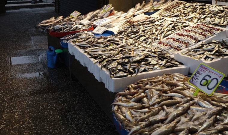 Hamsi avcılığı dibe vurdu, fiyatı 6 kat arttı