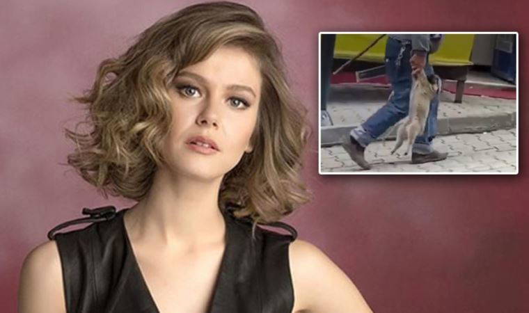 Oyuncu Burcu Biricik: 'Nereye götürüyorsunuz bu hayvanları?'