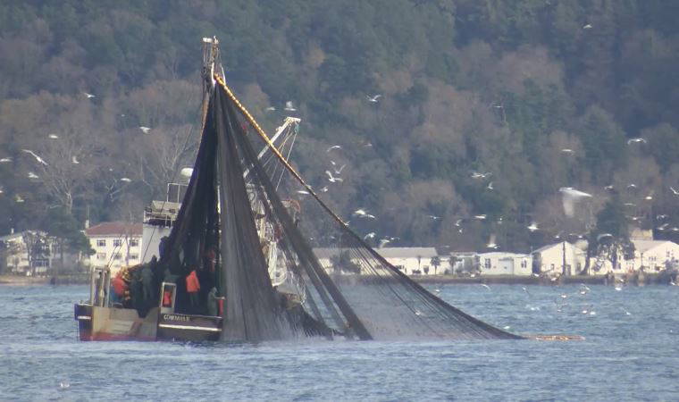 İstanbul'da gırgır tekneleri olta balıkçılarını isyan ettirdi
