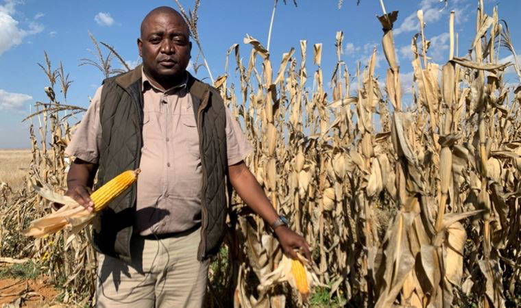 The Guardian: ABD tarım sektöründe 'modern kölelik' uygulanıyor