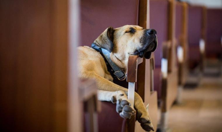 Hedef alınan Boji'den yeni fotoğraf: 'Özlemişim hepinizi'