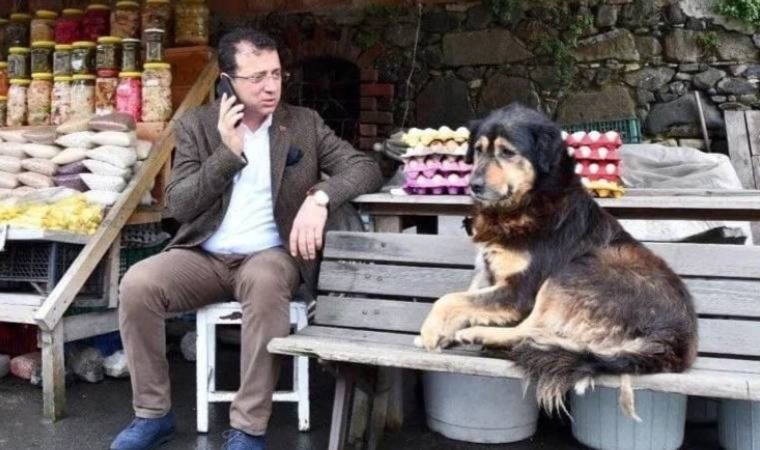Ekrem İmamoğlu: Hayvanları Koruma Kanunu’na uygun şekilde düzenli kontrolleri sağlıyoruz