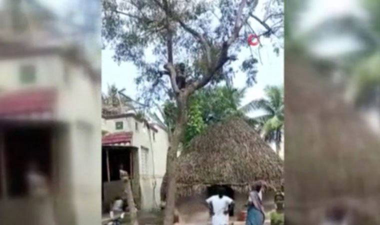 Koronavirüs aşısı olmamak için ağaca tırmandı