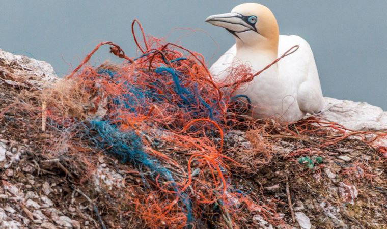 Araştırmacılar tespit etti: Alaska'da gökten plastik yağdı