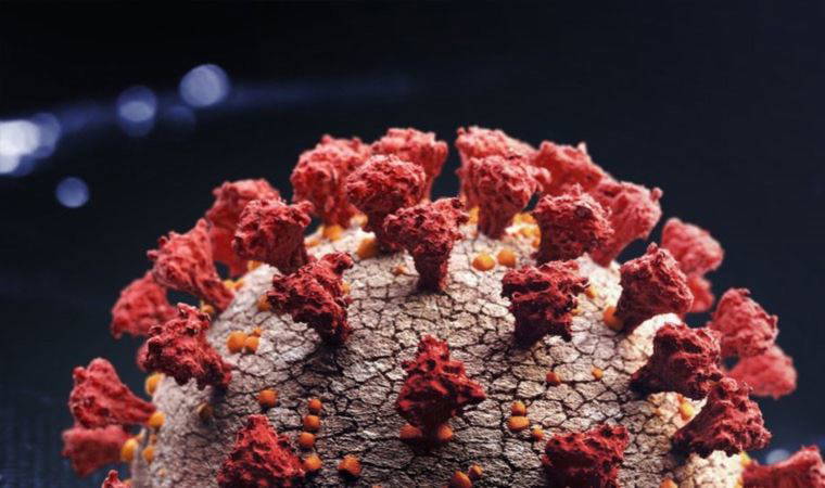 DSÖ: Dünya Omicron karşısında paniklememeli, hazırlıklı olmalı