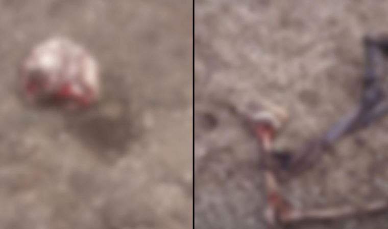 İran sınırında parçalanmış ceset bulundu: Bir göçmene ait olduğu düşünülüyor