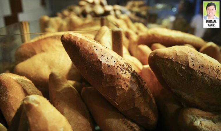 Çiftçinin buğday üretim maliyetleri yükseldi