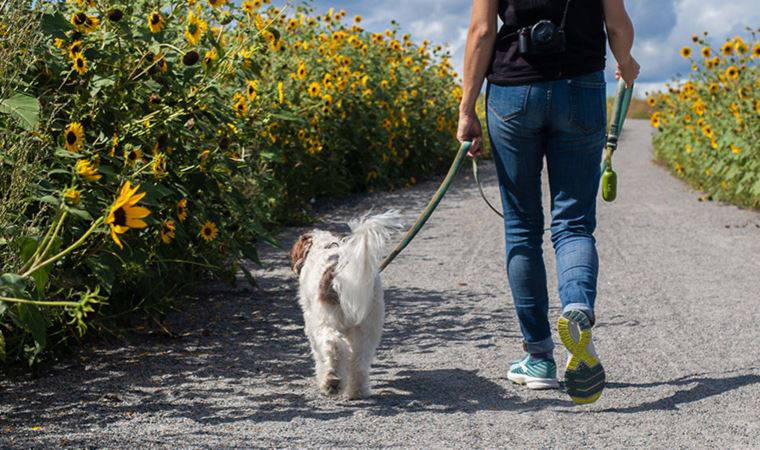 Akşamları ek iş olarak yapabileceğiniz 13 kârlı fikir