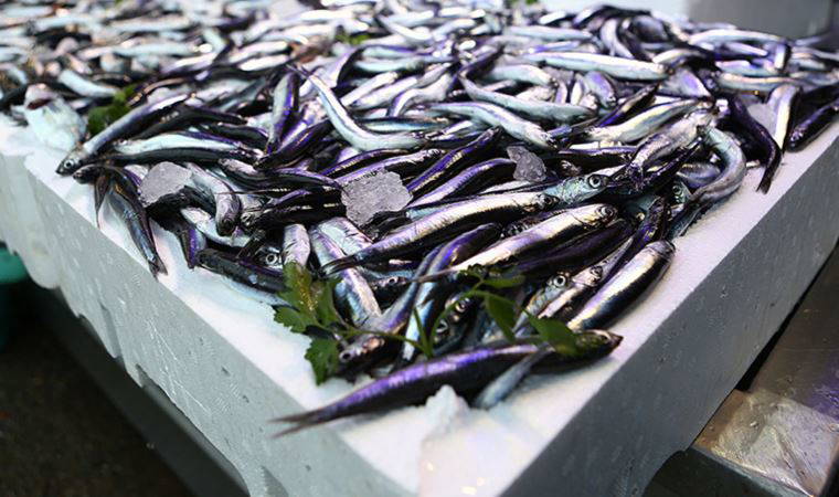 Hamsi sevenlere kötü haber: Fiyatlar fırladı