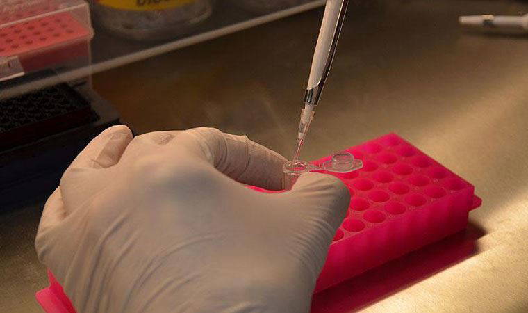 Prof. Dr. Ünal: Erkekler de rahim ağzı kanseri aşısı olmalı