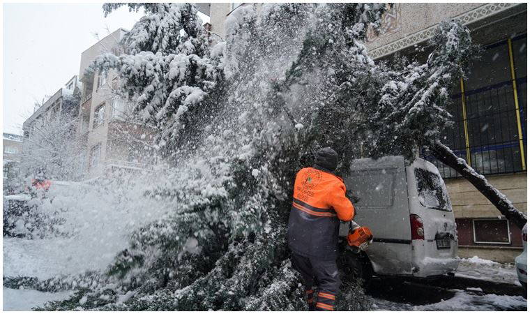İstanbul'da kar yağışı: Bazı bölgelerde ağaçlar devrildi