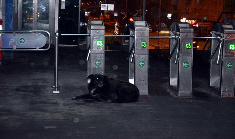 İstanbul’da toplu taşıma yasağında değişiklik