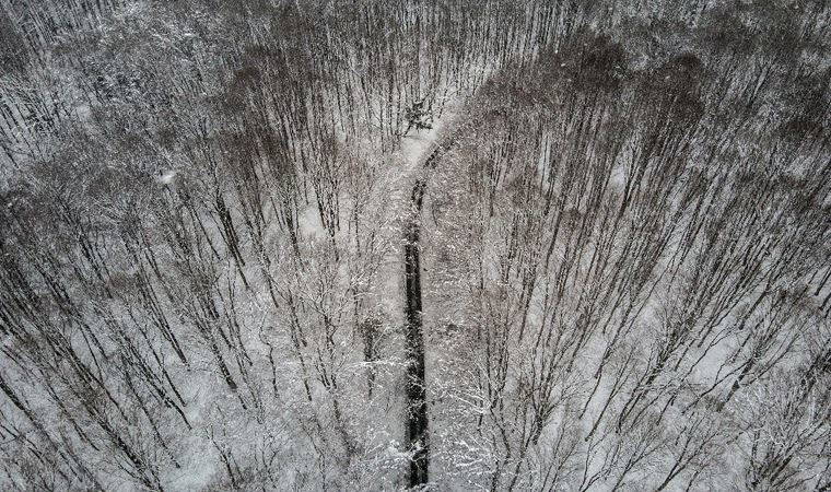 Karlar altındaki Belgrad Ormanı görüntülendi