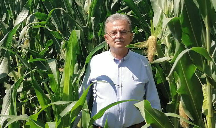 Muğla çiftçisinin çığlığı TBMM gündeminde: Destek ödemelerini yatırın