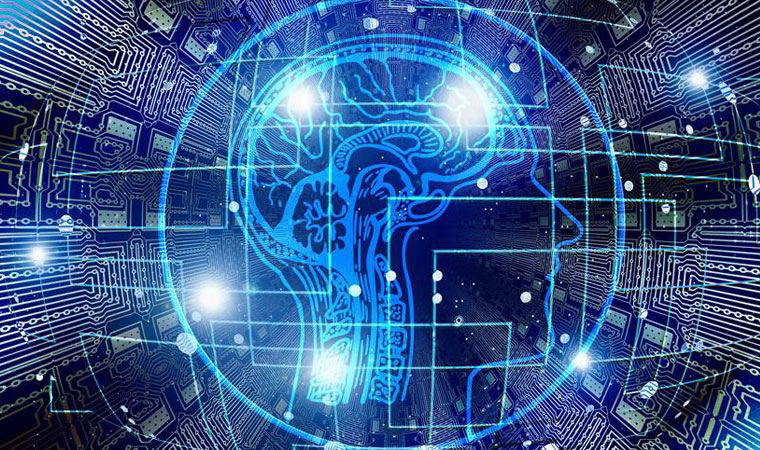 DR. ROBERT STERNBERG