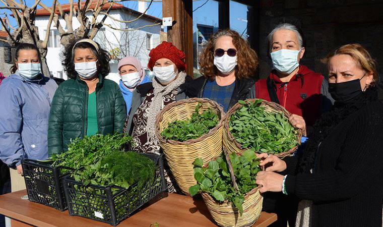 Ege'nin otları kuşaktan kuşağa aktarılıyor