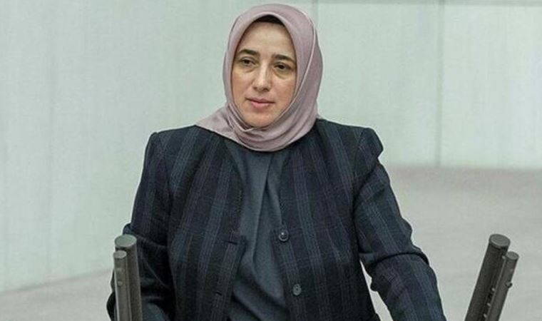 Özlem Zengin'e, 'hakaret ettiği gerekçesiyle' tutuklandı