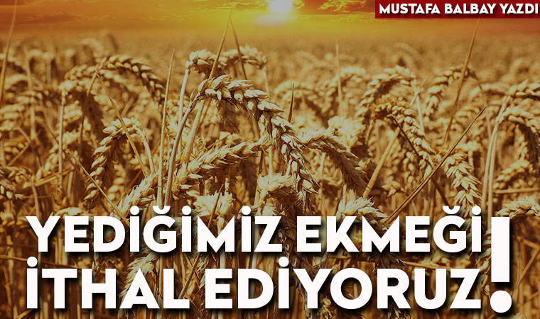Yediğimiz ekmeği ithal ediyoruz!