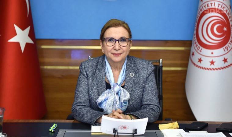 Pekcan: Türkiye'nin AB'deki yerini alması gerekiyor