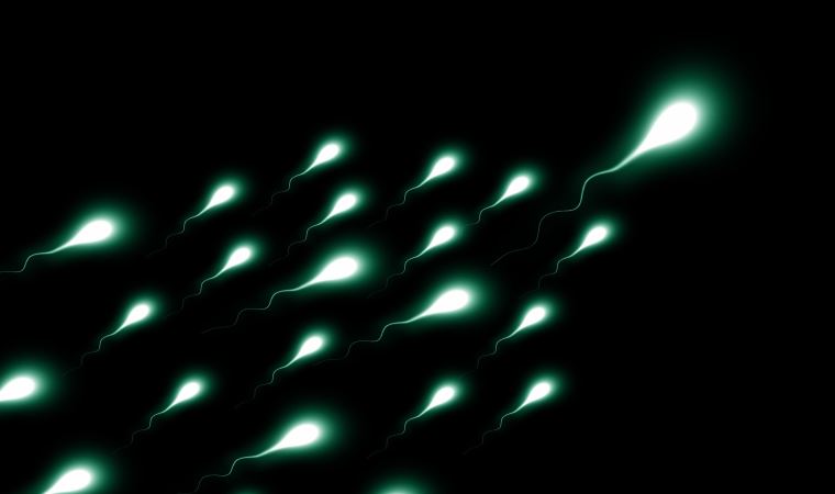 İnsan nesli tehlikede: 