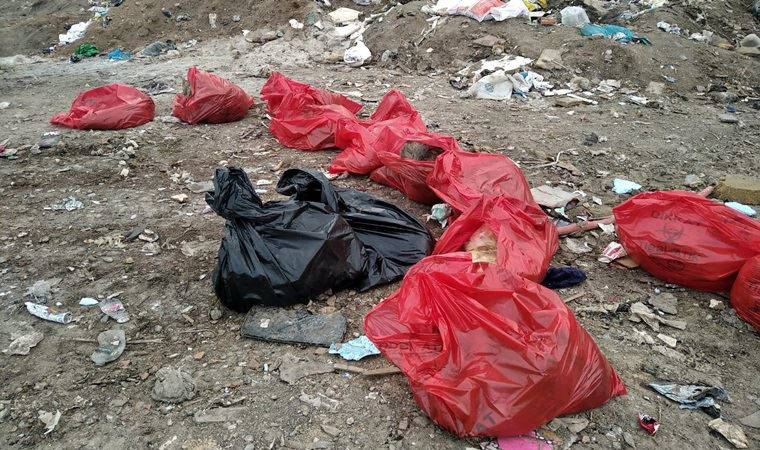 Ankara'da molozların arasında 20 ölü köpek bulundu