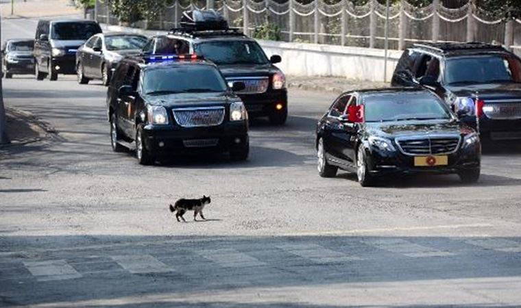 Cumhurbaşkanlığı koruma kalkanına yılda 263 milyon TL