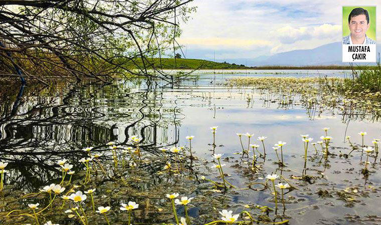 Koruma altındaki sulak alanlar, yönetmelik değiştirilerek yapılaşmaya açıldı