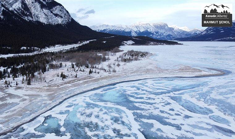 Jane yakında evleniyor