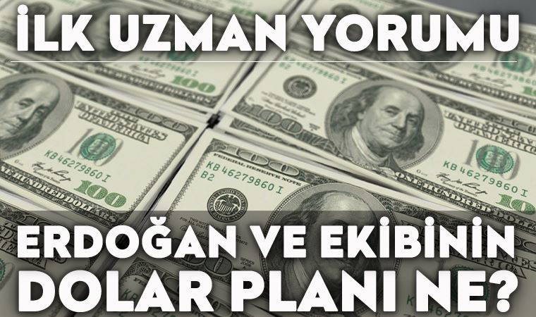 Ekonomist Evren Devrim Zelyut, doların yükselmesini değerlendirdi: 