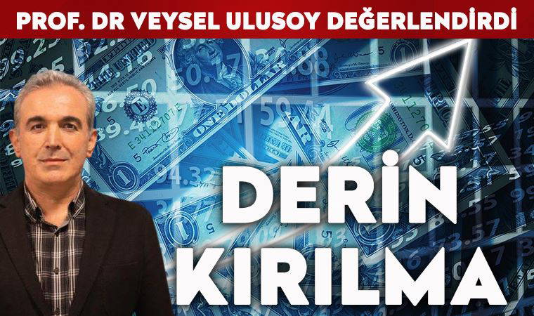 Prof. Dr. Veysel Ulusoy, döviz kurunun yükselmesini değerlendirdi: 