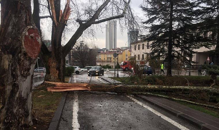 TBMM bahçesine yıldırım düştü