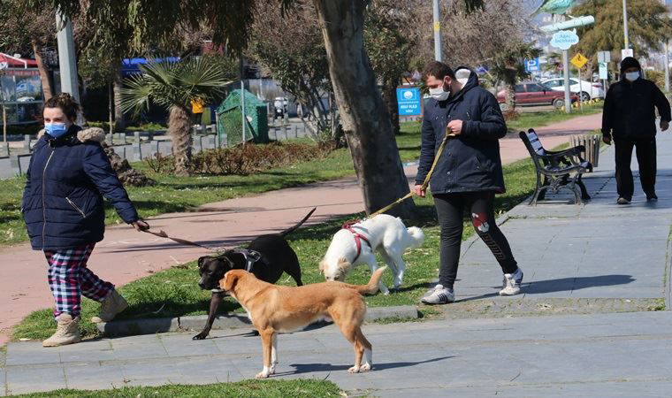 Pandemide evcil hayvan sahiplenme oranı arttı