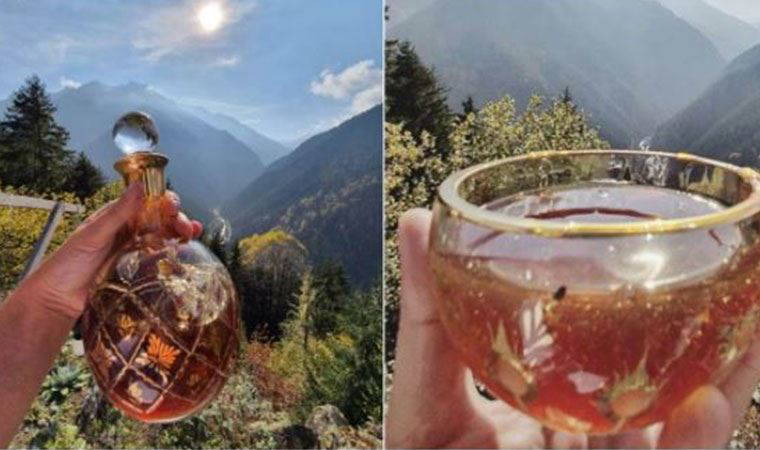 Türkiye'de mağarada toplanan kantaron balı Guinness Rekorlar Kitabı'na girdi